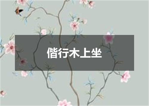 偕行木上坐