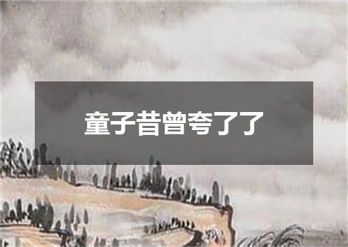 童子昔曾夸了了