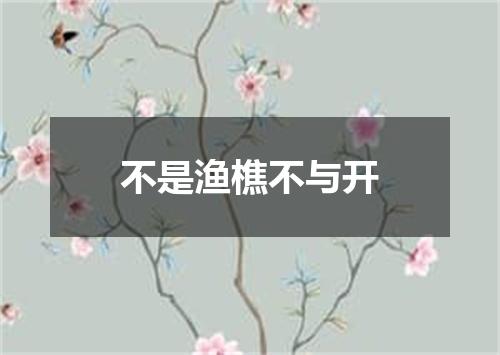 不是渔樵不与开
