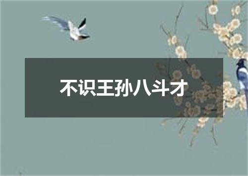 不识王孙八斗才