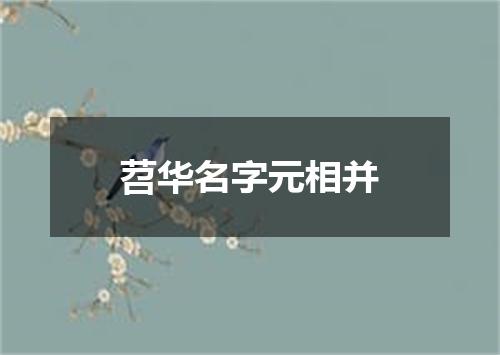 苕华名字元相并