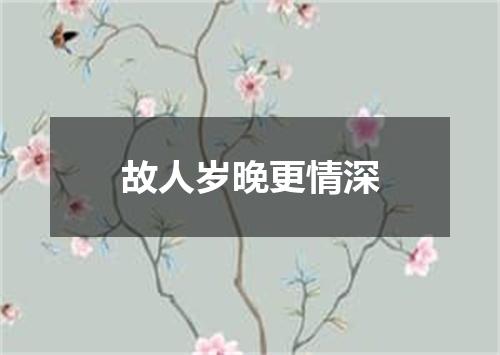 故人岁晚更情深