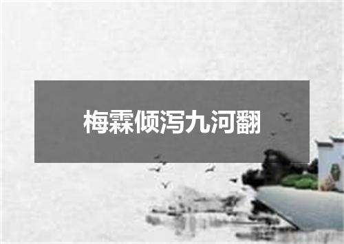 梅霖倾泻九河翻