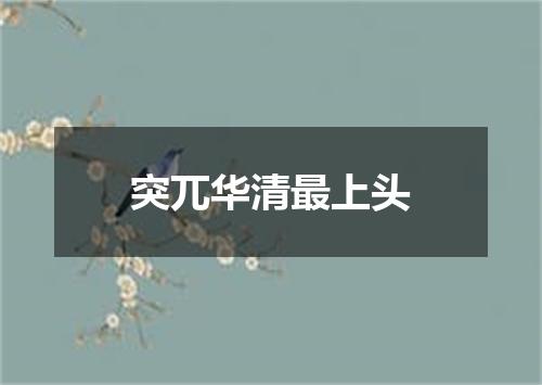 突兀华清最上头