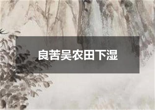 良苦吴农田下湿