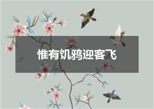 惟有饥鸦迎客飞