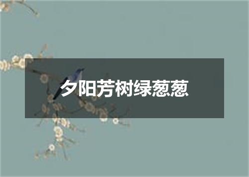 夕阳芳树绿葱葱