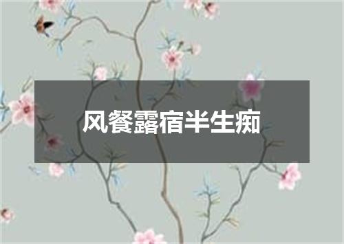 风餐露宿半生痴