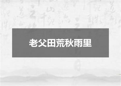 老父田荒秋雨里