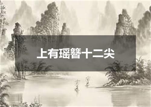 上有瑶簪十二尖