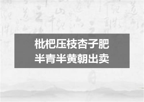 枇杷压枝杏子肥半青半黄朝出卖