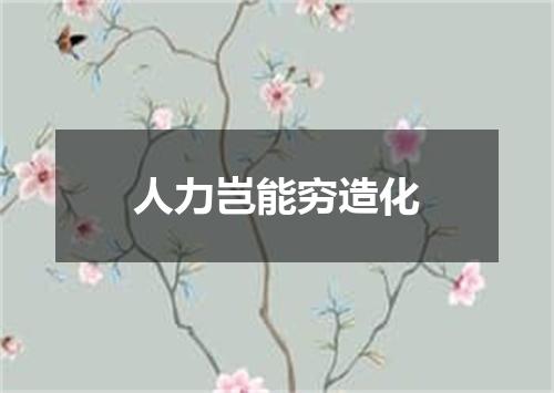 人力岂能穷造化
