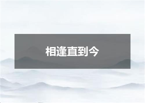相逢直到今