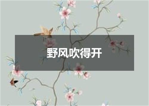 野风吹得开