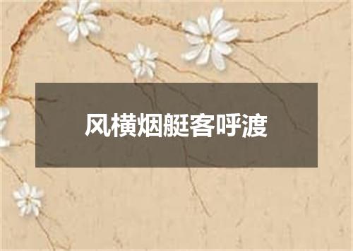 风横烟艇客呼渡