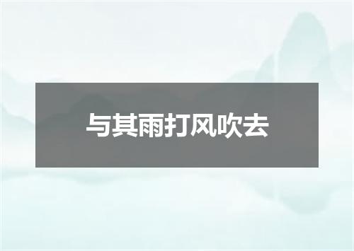 与其雨打风吹去
