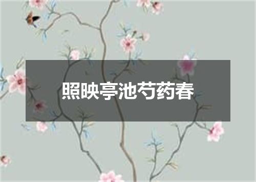 照映亭池芍药春