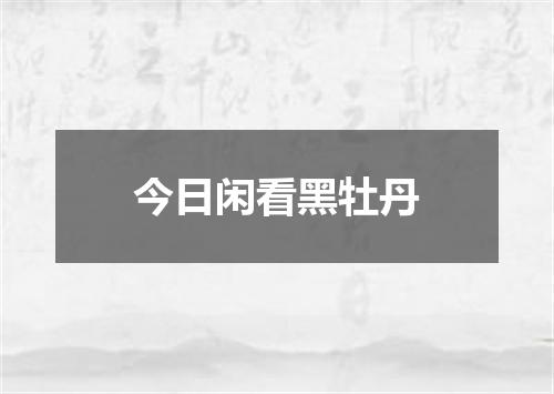今日闲看黑牡丹
