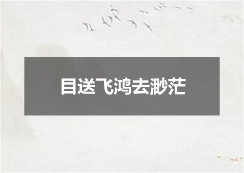 目送飞鸿去渺茫