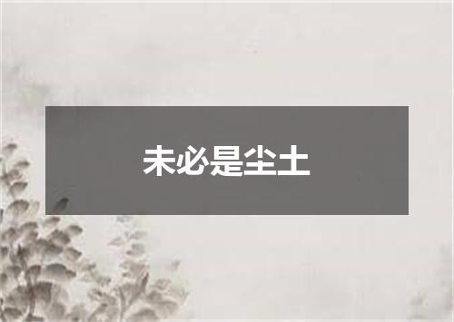 未必是尘土