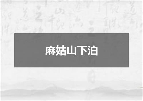 麻姑山下泊
