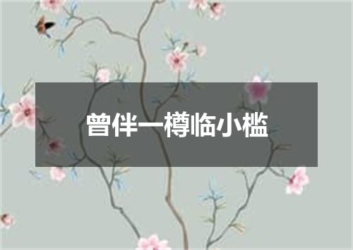 曾伴一樽临小槛
