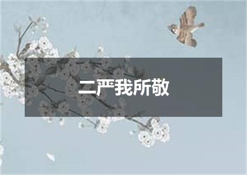二严我所敬