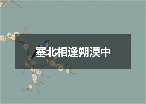 塞北相逢朔漠中