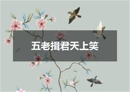 五老揖君天上笑