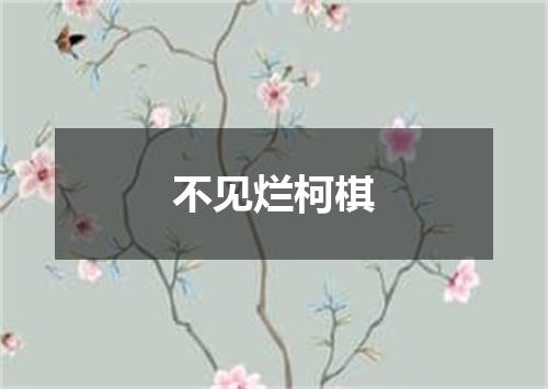 不见烂柯棋