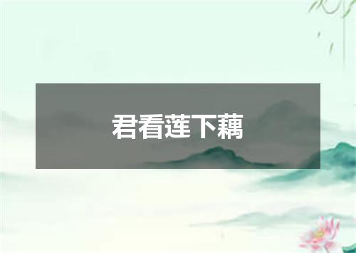君看莲下藕