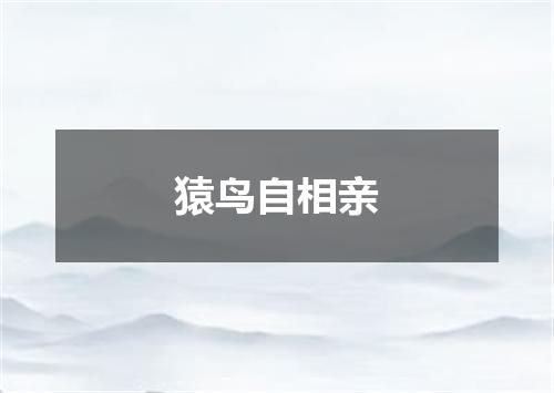 猿鸟自相亲