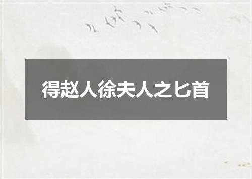得赵人徐夫人之匕首