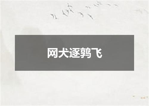 网犬逐鹑飞