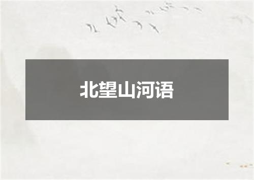 北望山河语