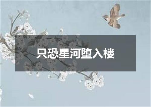 只恐星河堕入楼