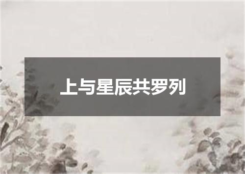 上与星辰共罗列