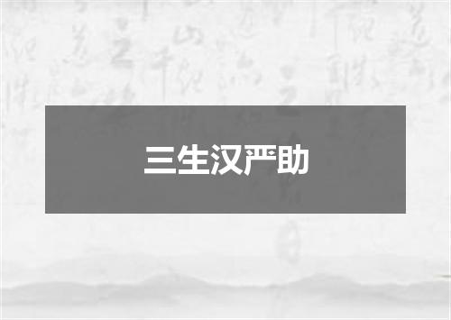 三生汉严助