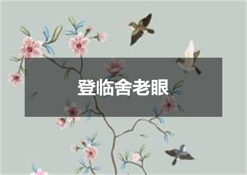登临舍老眼