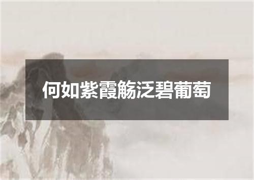 何如紫霞觞泛碧葡萄