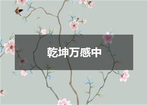 乾坤万感中