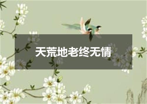 天荒地老终无情