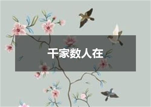 千家数人在