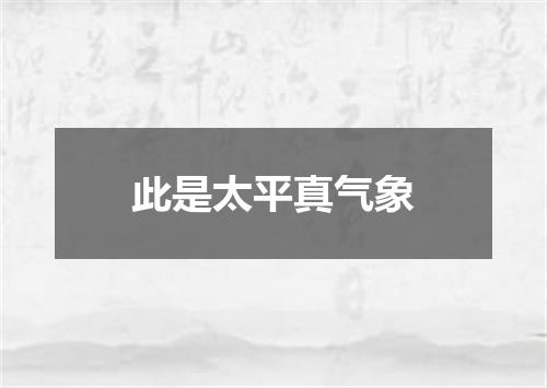 此是太平真气象