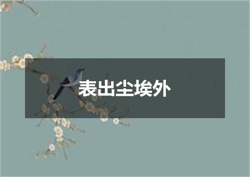 表出尘埃外