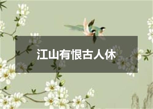 江山有恨古人休