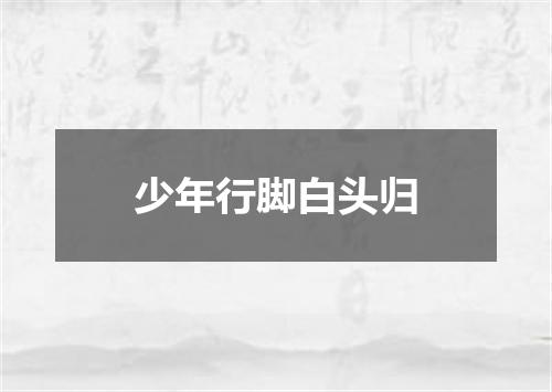 少年行脚白头归