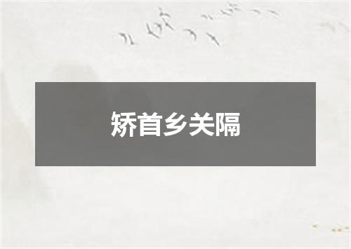 矫首乡关隔