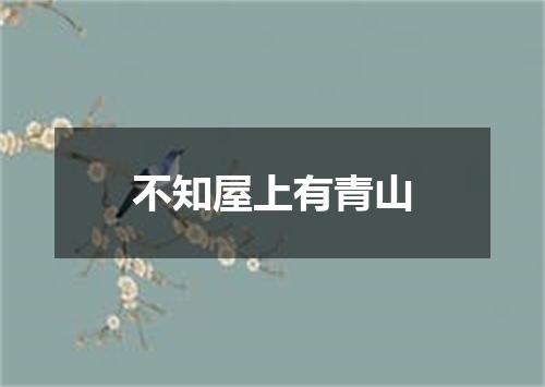 不知屋上有青山