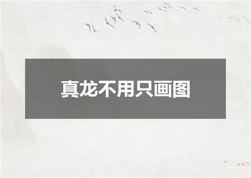 真龙不用只画图